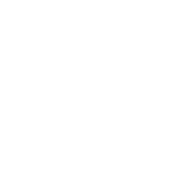Studyflash logo